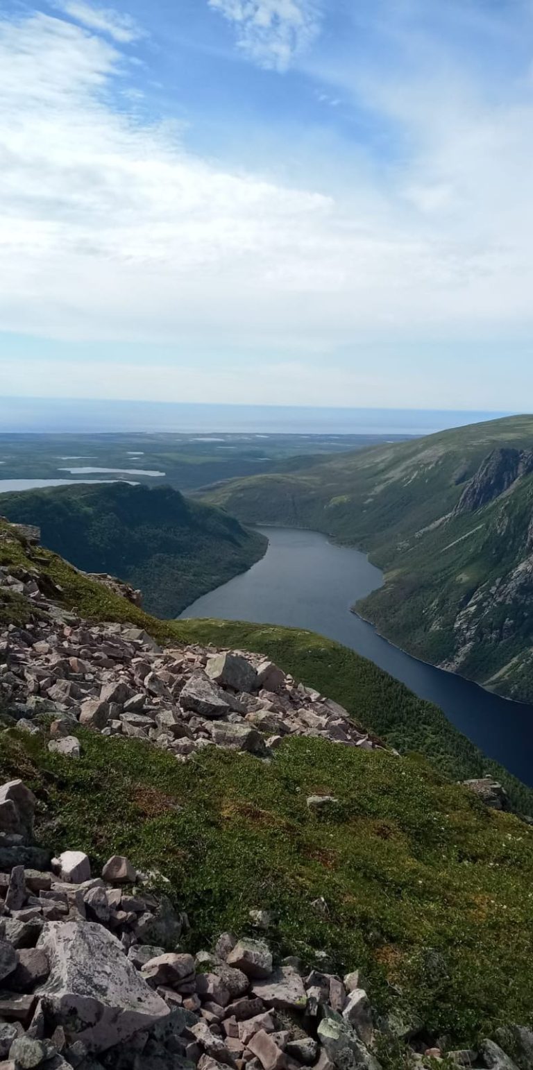Neufundland Großmorne Blick auf einen gewundenen Fluss, umgeben von grünen Hügeln und einem blauen Himmel.