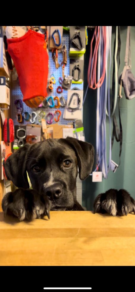 Über 30 Jahre Outdoor Erfahrung der Mitarbeiter Stanley unser unbezahlter Mitarbeiter