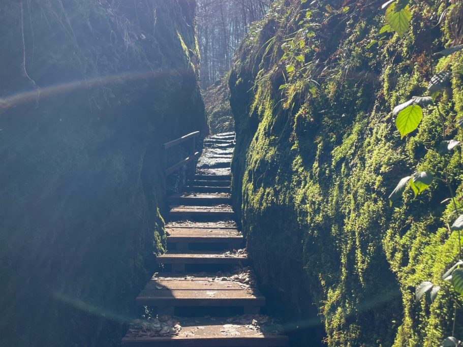 Drachenschlucht Wanderweg in der Frühlingssonne Holztreppen in der Frühlingssonne durch die Drachenschlucht